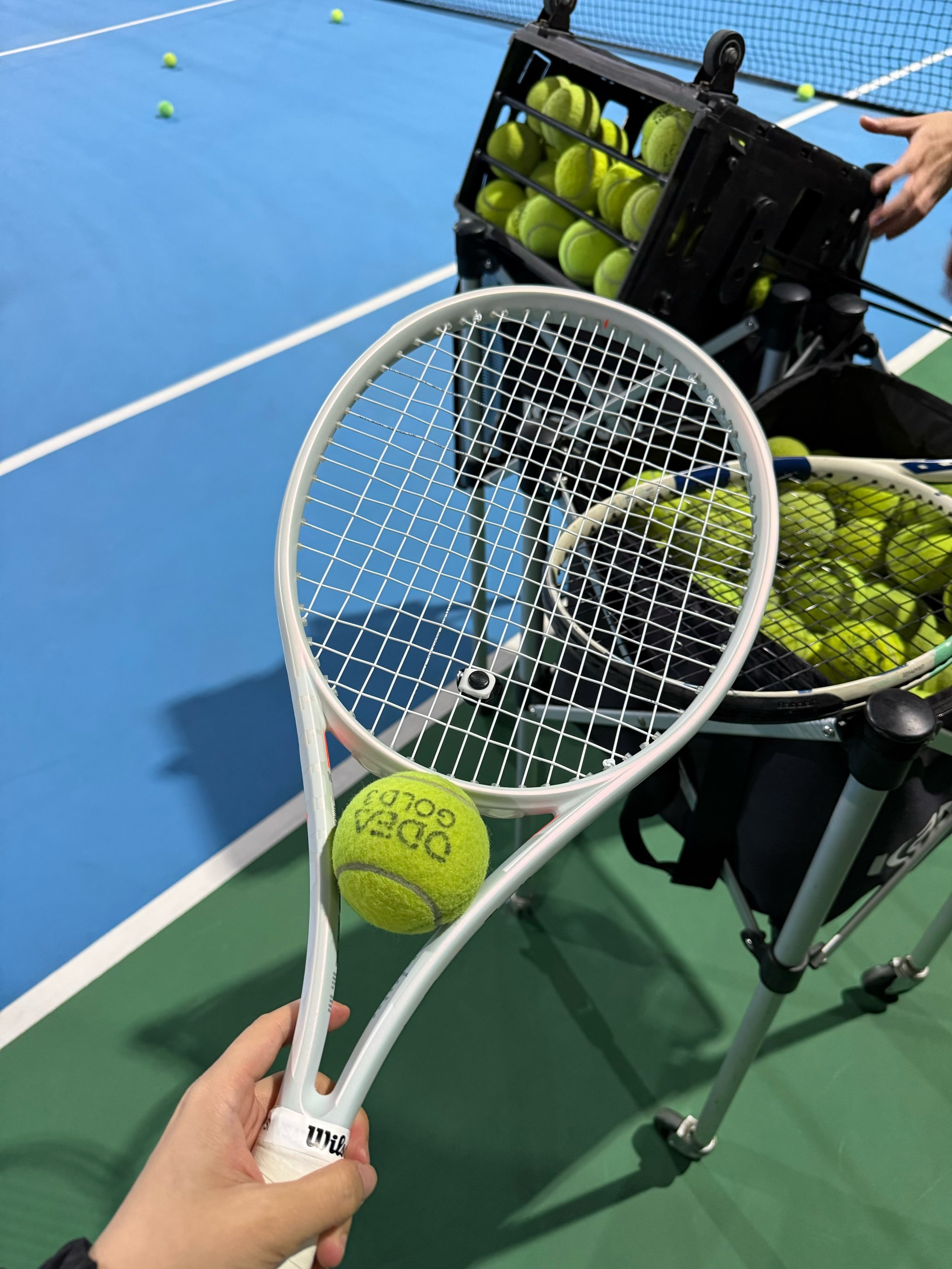 育现象的崛 育现象的崛